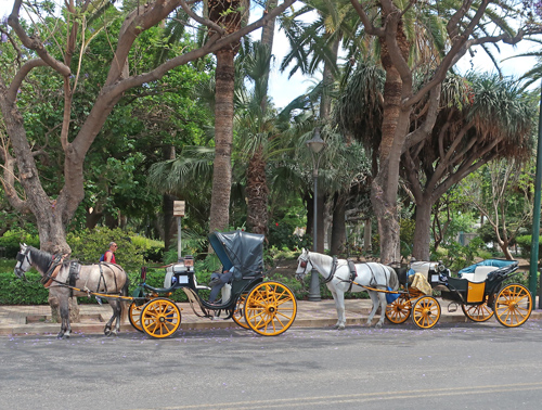 Horse and Carriage Rides