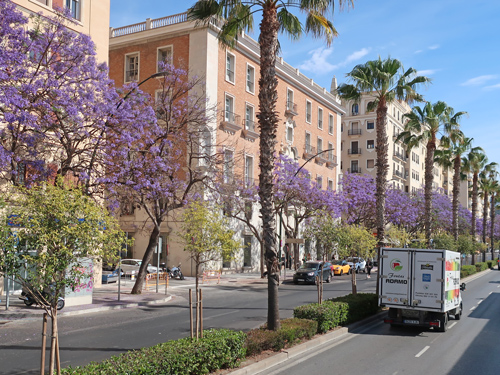 Malaga Spain Guide